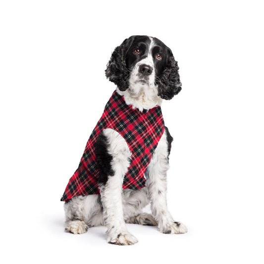Gold Paw Stretch Fleece - Red Plaid